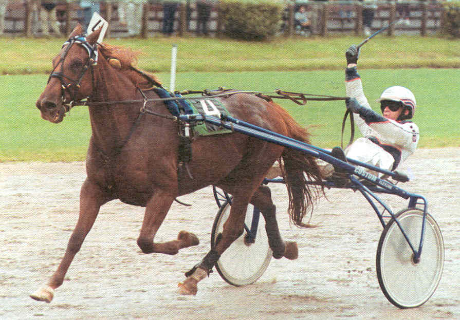 amateurkampieonschap