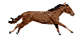rennendpaard