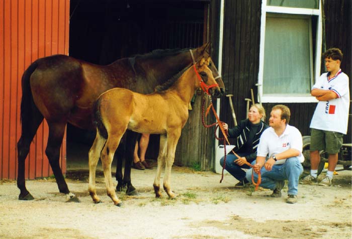 kraamvisite